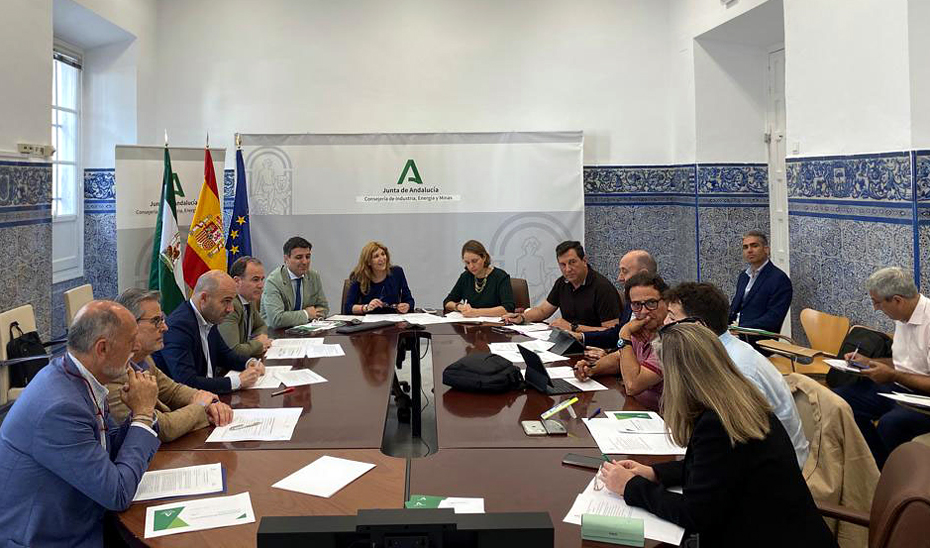 La viceconsejera de Industria, Energía y Minas, Ana María Vielba, junto a los integrantes de la Comisión de Participación de la Alianza Andaluza del Hidrógeno Verde.