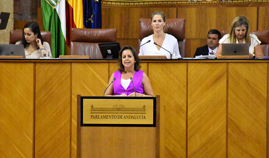 La consejera de Salud y Consumo, durante el Pleno del Parlamento de Andalucía, este miércoles.