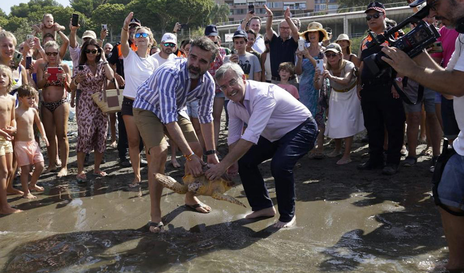 Fernández-Pacheco ha participado en la devolución al mar de un ejemplar de tortuga boba en la Playa del Cristo, en Estepona (Málaga).