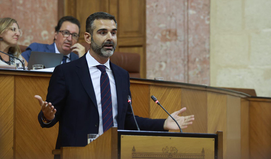 El consejero de Sostenibilidad, Ramón Fernández-Pacheco, desde la tribuna del salón de Plenos del Parlamento.