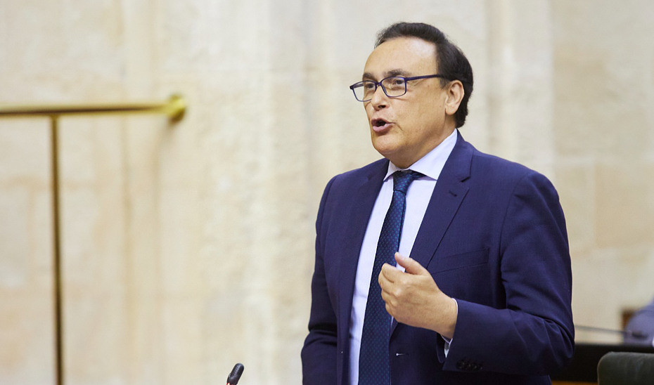 El consejero de Universidad, Investigación e Innovación, José Carlos Gómez Villamandos, durante su intervención en el Pleno del Parlamento.
