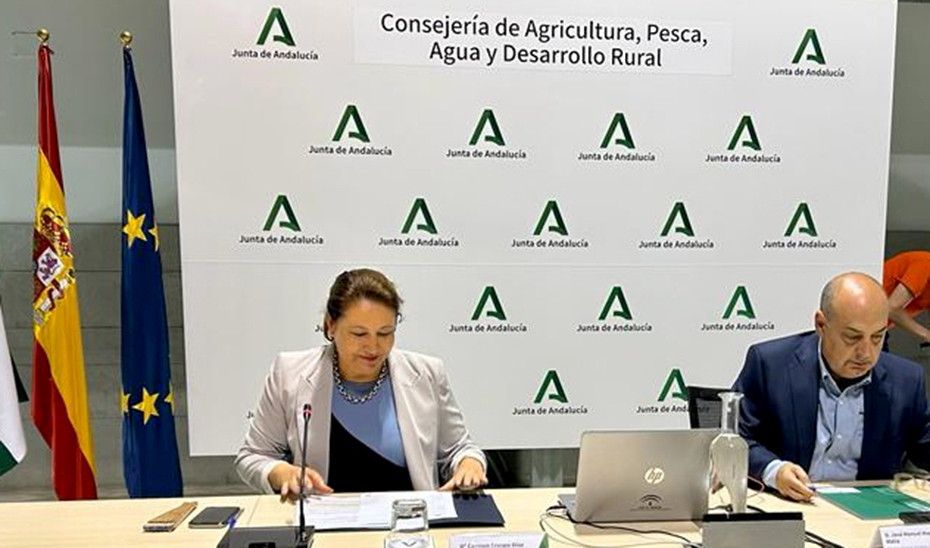 La consejera de Agricultua, Carmen Crespo, acompañada por el director general de Pesca y Acuicultura, José Manuel Martínez Malia, durante una mesa de interlocución pesquera celebrada en la consejería. 