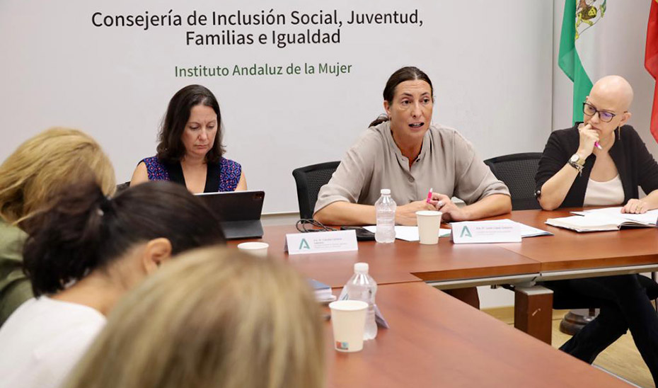 La consejera de Inclusión Social, Loles López, interviene en la reunión de balance de las comisiones provinciales de seguimiento contra la violencia de género.