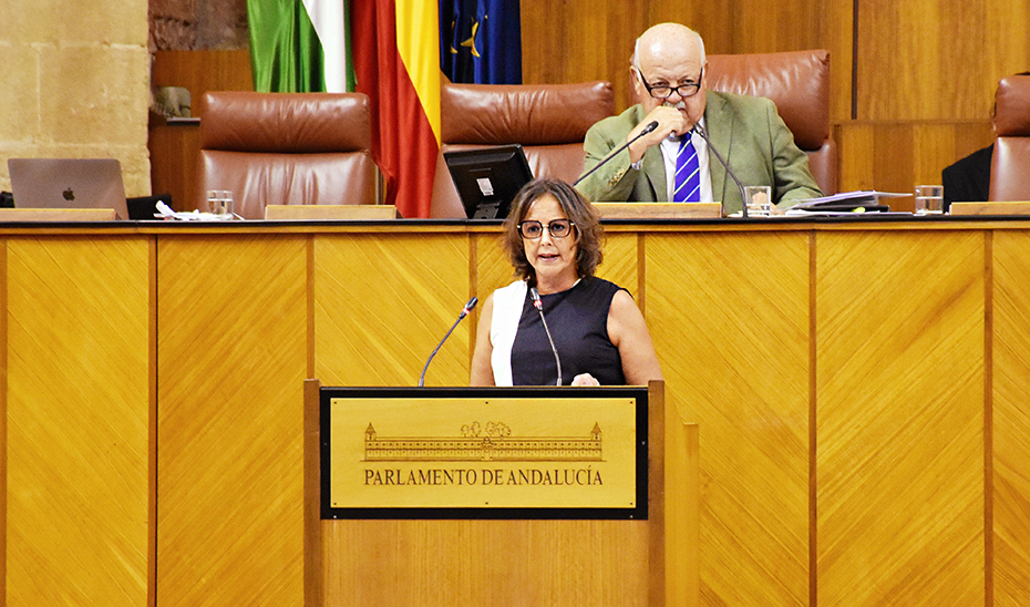 La consejera de Salud, Catalina García, durante su intervención en el Pleno del Parlamento, este miércoles.