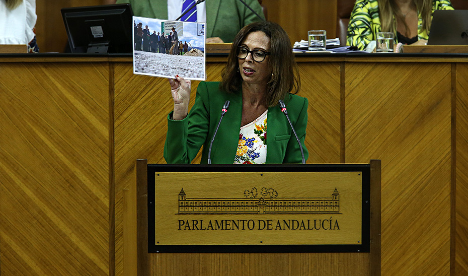 Rocío Díaz, consejera de Fomento, Articulación del Territorio y Vivienda, en un momento de su intervención.