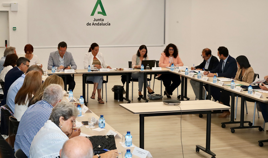 Sesión plenaria del Consejo Andaluz de Mayores.