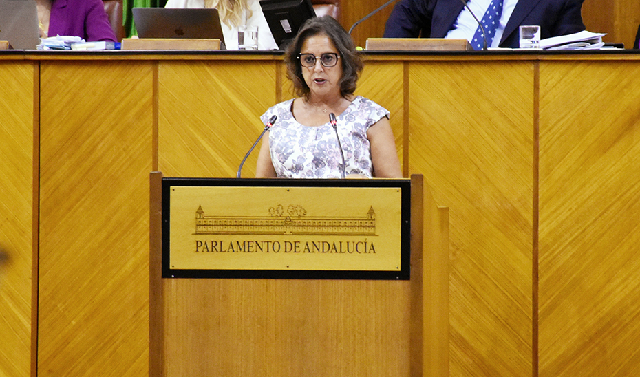 La consejera de Salud, Catalina García, durante la sesión plenaria del Parlamento.