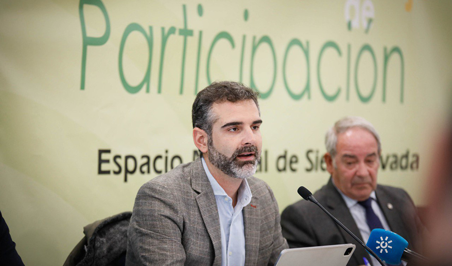 El consejero de Sostenibilidad, Ramón Fernández-Pacheco, durante su intervención en el Consejo de Participación de Sierra Nevada.