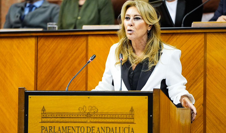La consejera de Economía, Carolina España, comparece en el debate final del Proyecto de Ley del Presupuesto de Andalucía para 2025.