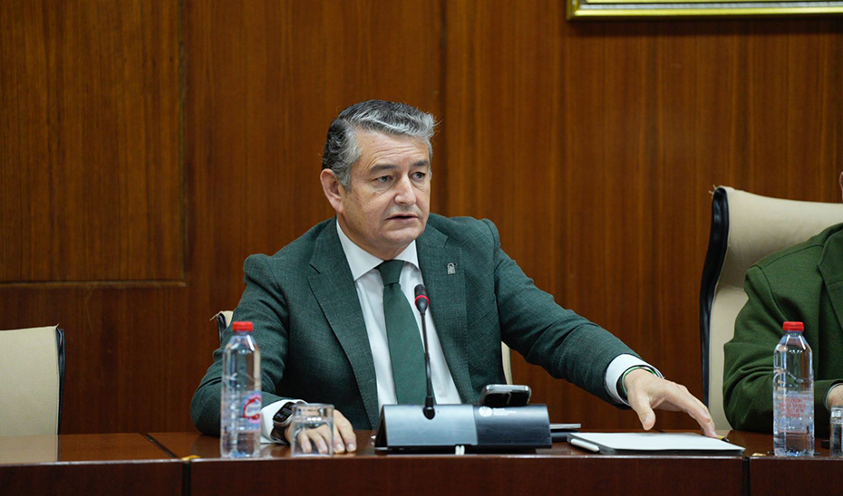 Antonio Sanz ha participado en el Parlamento de Andalucía en la Ponencia para la reforma del Reglamento del Parlamento.