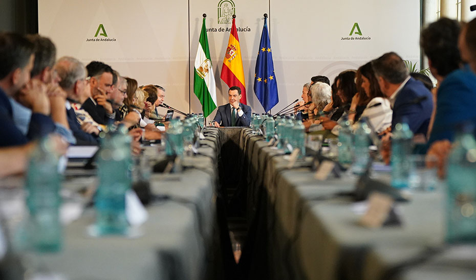 Juanma Moreno presidió en el Pleno del Consejo de Comunidades Andaluzas.