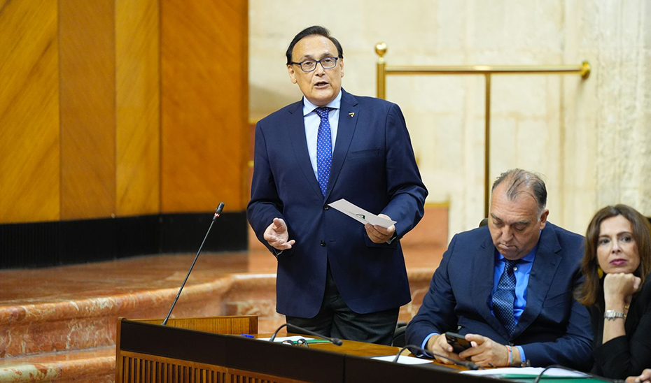 
			      El consejero de Universidad, José Carlos Gómez Villamandos, durante su intervención en el Pleno del Parlamento.			    
			  