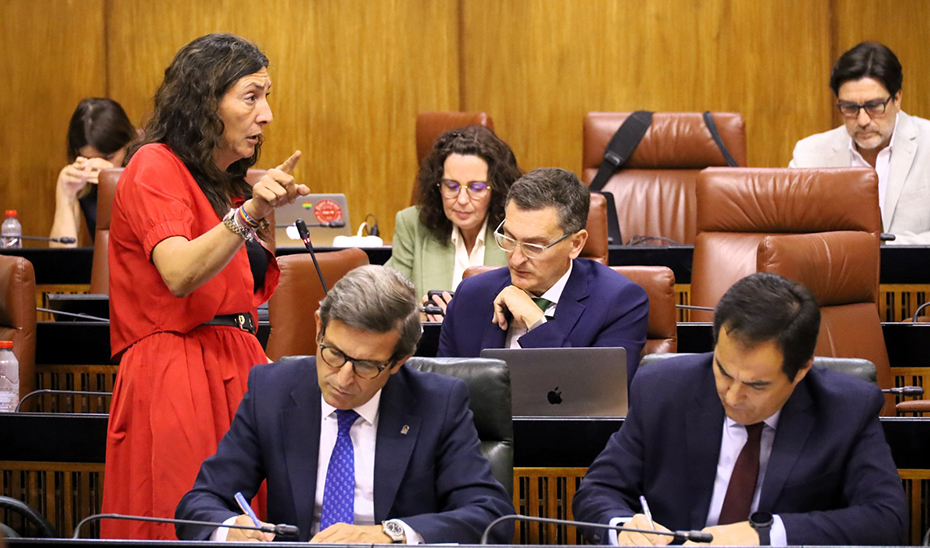 
			      Loles López interviene en el Parlamento andaluz.			    
			  