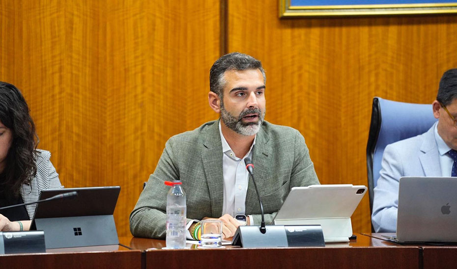 Ramón Fernández-Pacheco, durante la comisión de Sostenibilidad en el Parlamento de Andalucía.