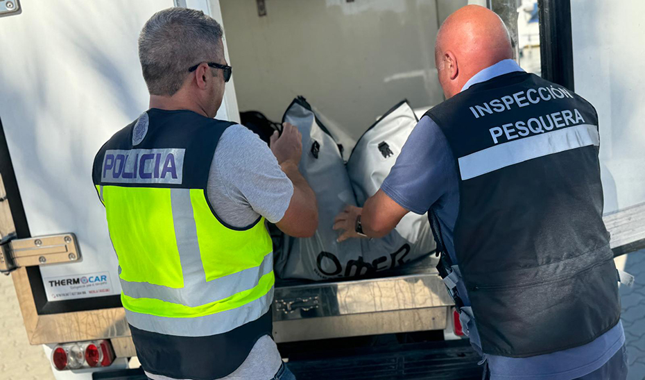 Agentes decomisan las neveras en las que se transportaba el despiece del ejemplar de atún rojo pescado ilegalmente.