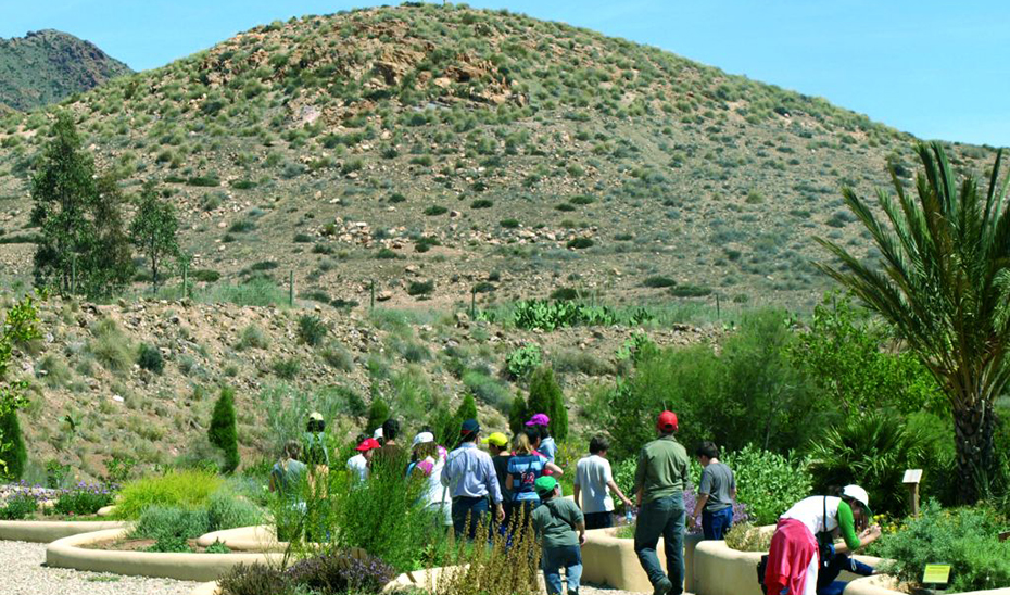 
			      Un grupo de escolares en el jardín botánico El Albardinar, en el Parque Natural Cabo de Gata-Níjar (Almería).			    
			  