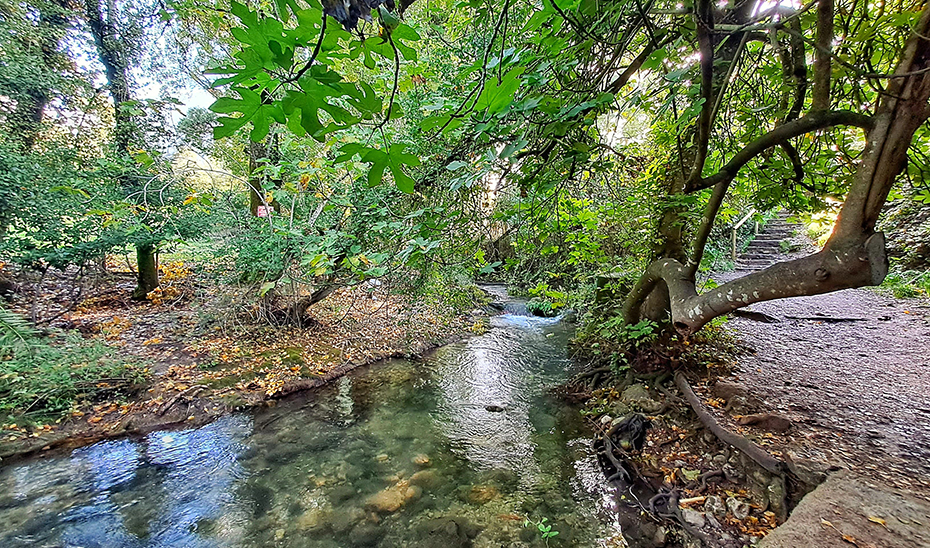 Paraje de la ruta que trascurre a lo largo del río Majaceite, en Cádiz.