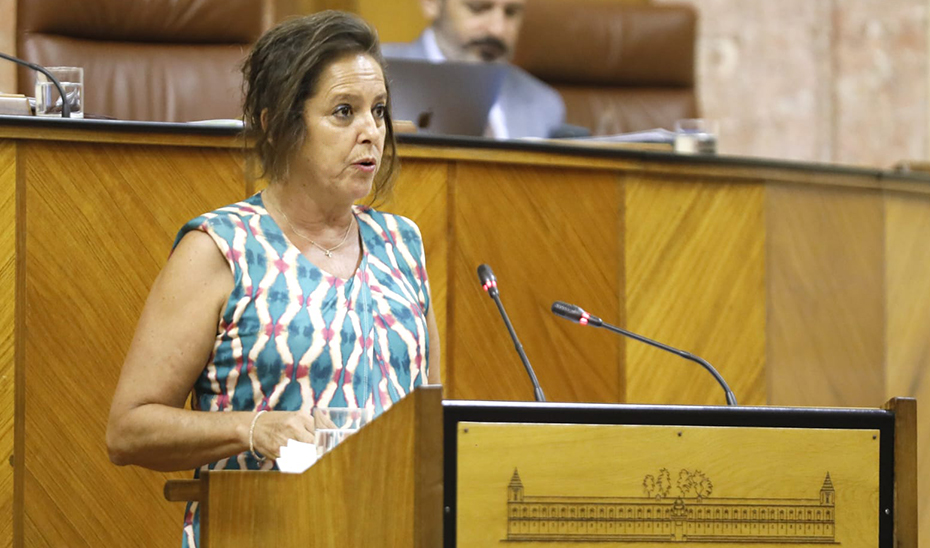 
			      Catalina García, consejera de Salud y Consumo, durante su intervención en el Pleno del Parlamento de Andalucía.			    
			  