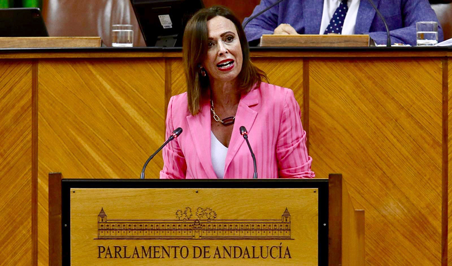 
			      Rocío Díaz, consejera de Fomento, se dirige desde la tribuna de oradores a los diputados andaluces durante la sesión plenaria.			    
			  