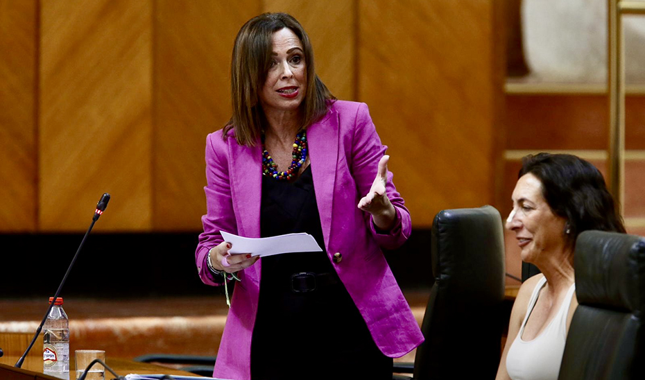 
			      La consejera de Fomento, Rocío Díaz, durante su intervención en el Pleno del Parlamento.			    
			  