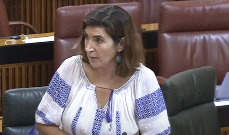
			      La consejera de Empleo, Rocío Blanco, en el Pleno del Parlamento.			    
			  