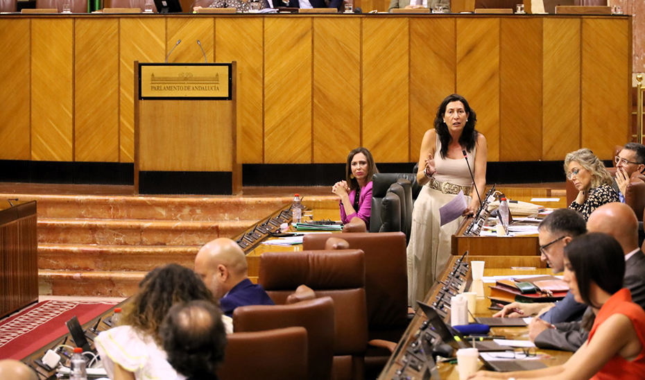 
			      La consejera de Inclusión, Loles López, responde a una pregunta en el Pleno del Parlamento.			    
			  