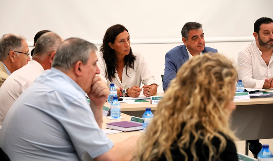 La consejera Loles López, durante el pleno extraordinario del Foro Andaluz para la Integración de Personas de Origen Migrante.