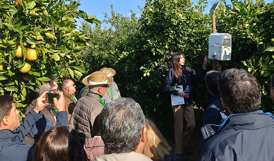 El proyecto 'DemoFarm Andalucía', candidato a los premios europeos de Inspiración Agraria y Rural