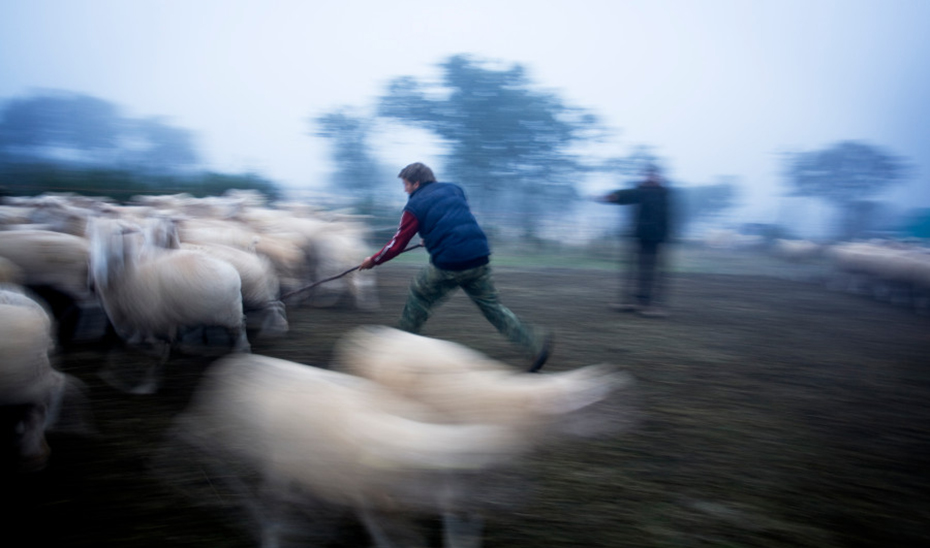 La Junta apuesta por la implicación de los andaluces en el mundo rural a través de la fotografía