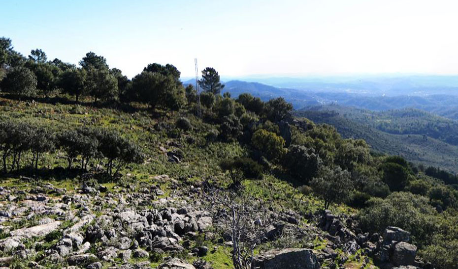 Rescatan a dos jóvenes tras caer por un barranco en Almonaster la Real