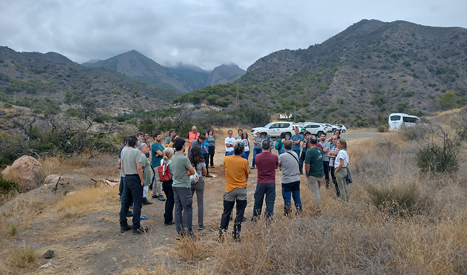 
			      Los participantes en las jornadas visitan unas de las zonas de la provincia de Málaga afectadas por el deterioro forestal.			    
			  