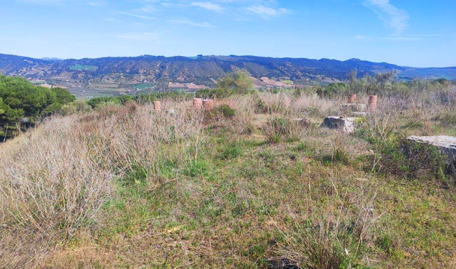 La Junta avanza en el desarrollo de suelos en Lagar de Oliveros de Málaga para la construcción de 2.806 viviendas