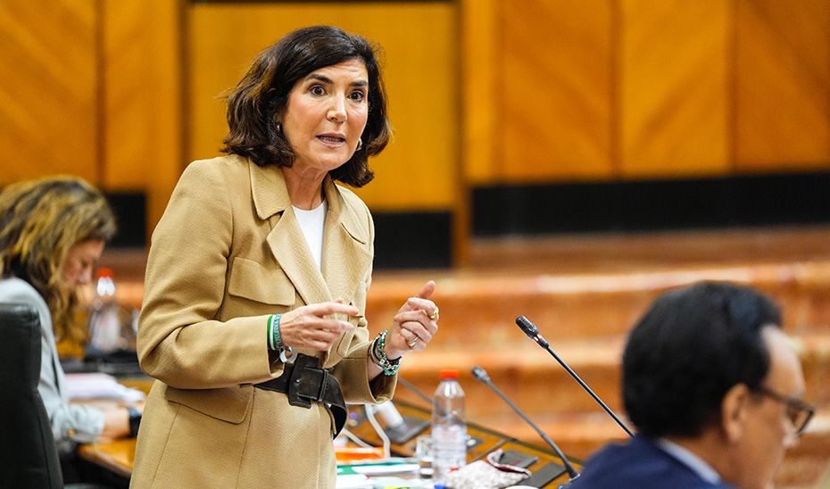 La consejera de Empleo, Rocío Blanco, durante su intervención en la sesión plenaria.