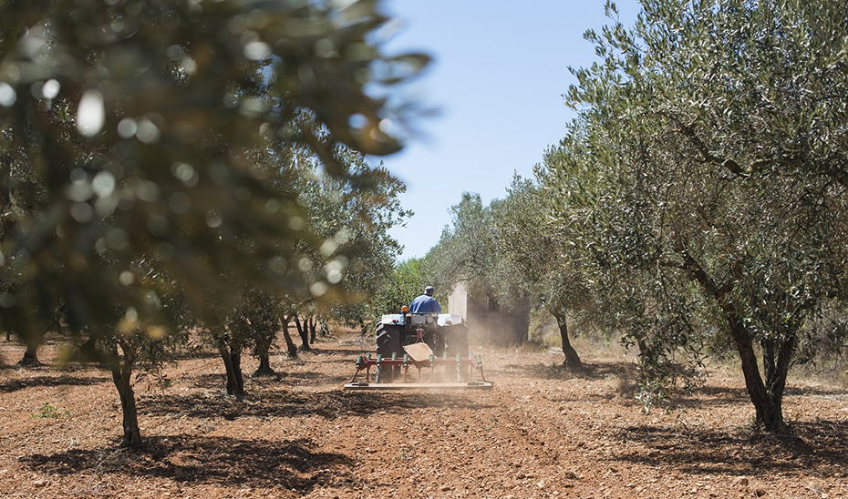 Muere un hombre al volcar el tractor que conducía en Villanueva de Algaidas (Málaga)