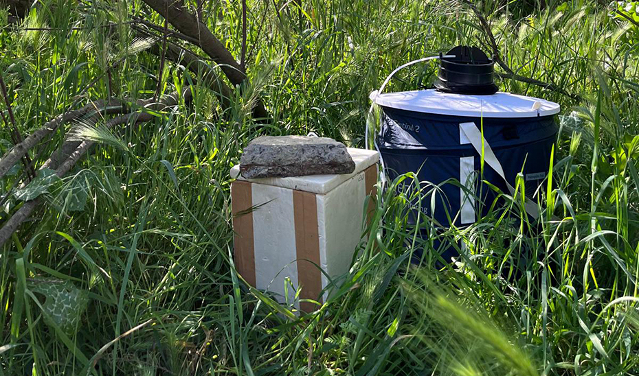 Salud declara las primeras áreas en alerta por mosquitos con virus del Nilo occidental 