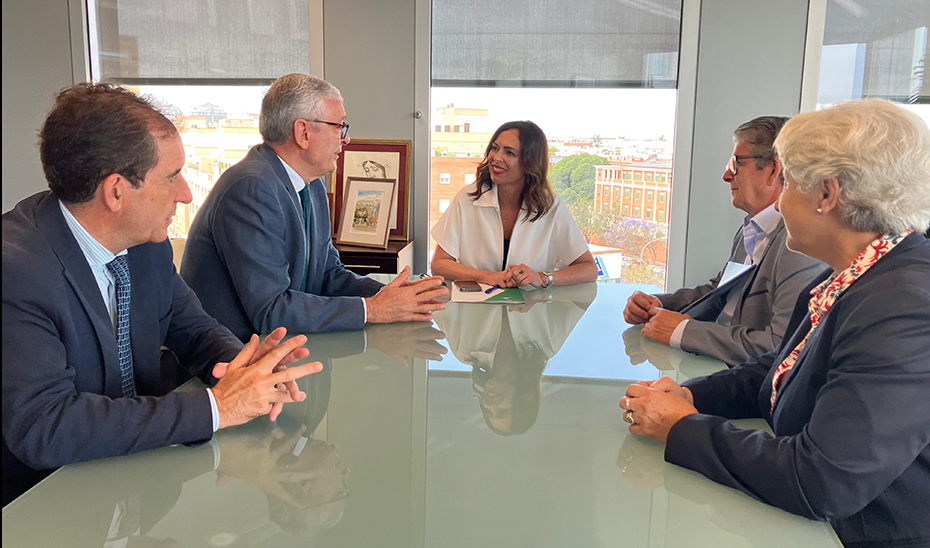 
			      La consejera de Fomento, Articulación del Territorio y Vivienda, Rocío Díaz, mantiene una reunión con los representantes de Maderas San Roque.			    
			  