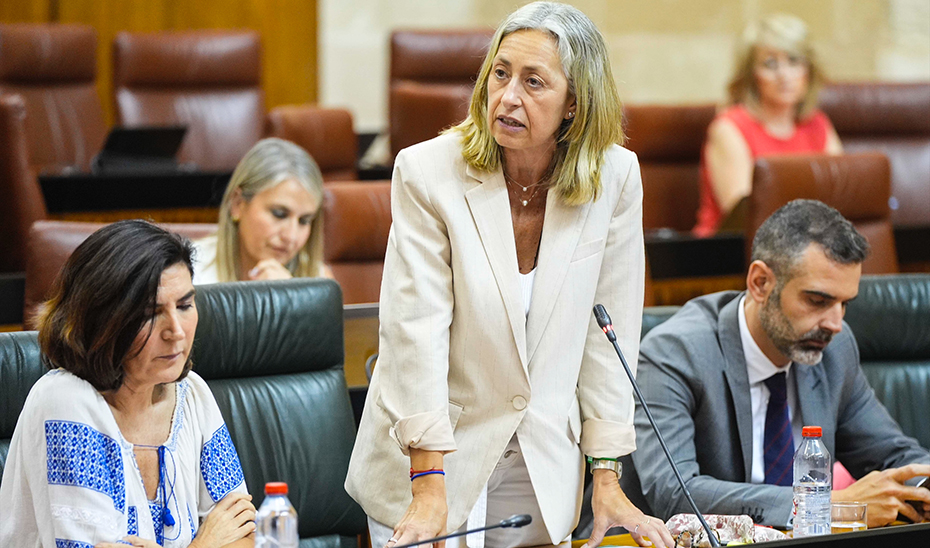 
			      Rocío Hernández interviene en el pleno desde su escaño en el Parlamento andaluz.			    
			  