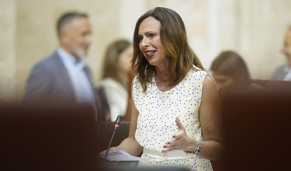 
			      La consejera de Fomento, Articulación del Territorio y Vivienda, Rocío Díaz.			    
			  