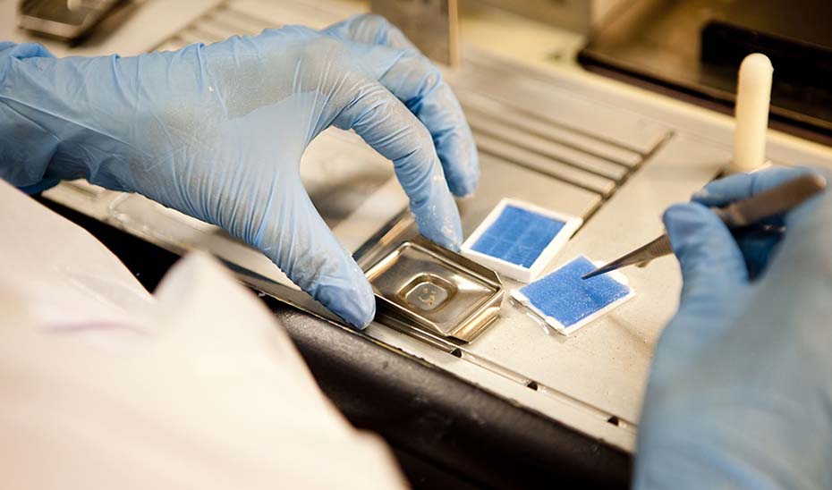 
			      Investigación en un laboratorio del Biobanco de Andalucía.			    
			  