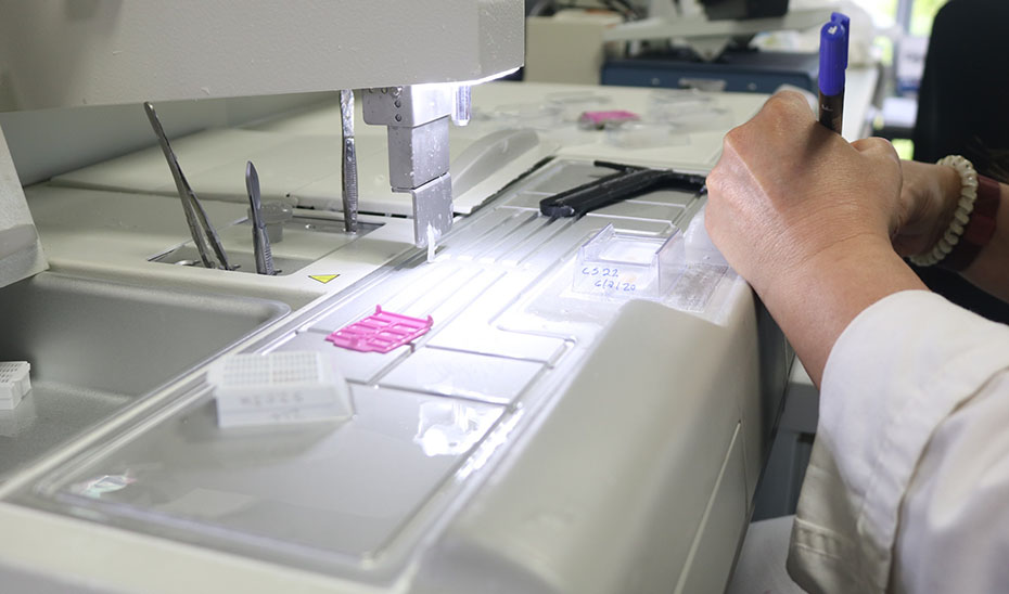 
			      Trabajo de laboratorio.			    
			  