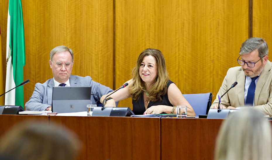 
			      La consejera de Desarrollo Educativo, María del Carmen Castillo, comparece en el Parlamento andaluz.			    
			  