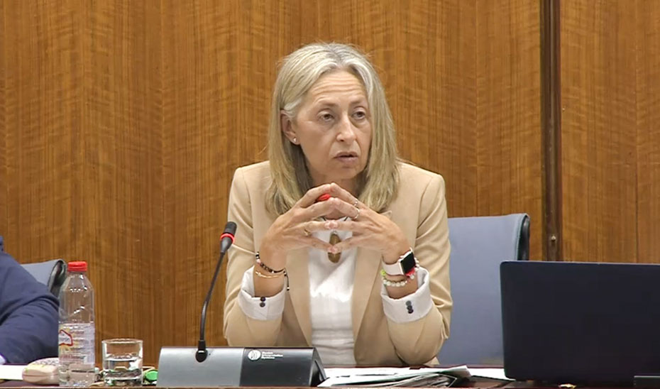 
			      Rocío Hernández interviene en la comisión parlamentaria.			    
			  