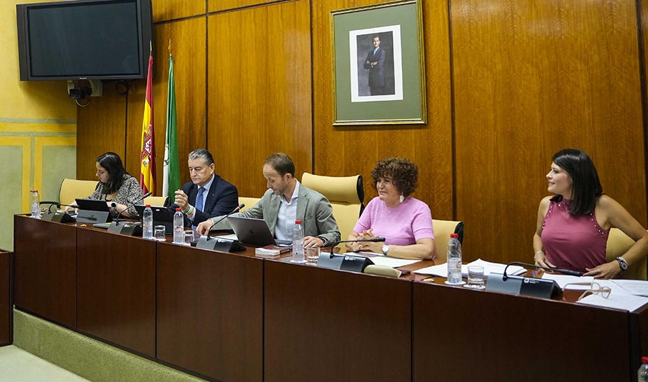 
			      El consejero de Presidencia, Interior, Diálogo Social y Simplificación Administrativa, Antonio Sanz, durante su comparecencia, junto a los miembr...
			  