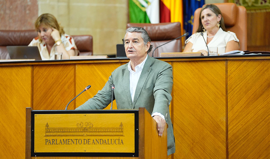 
			      Antonio Sanz comparece en el Parlamento de Andalucía.			    
			  