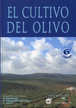 1337161059Cultivo_del_olivo_6x0013.jpg