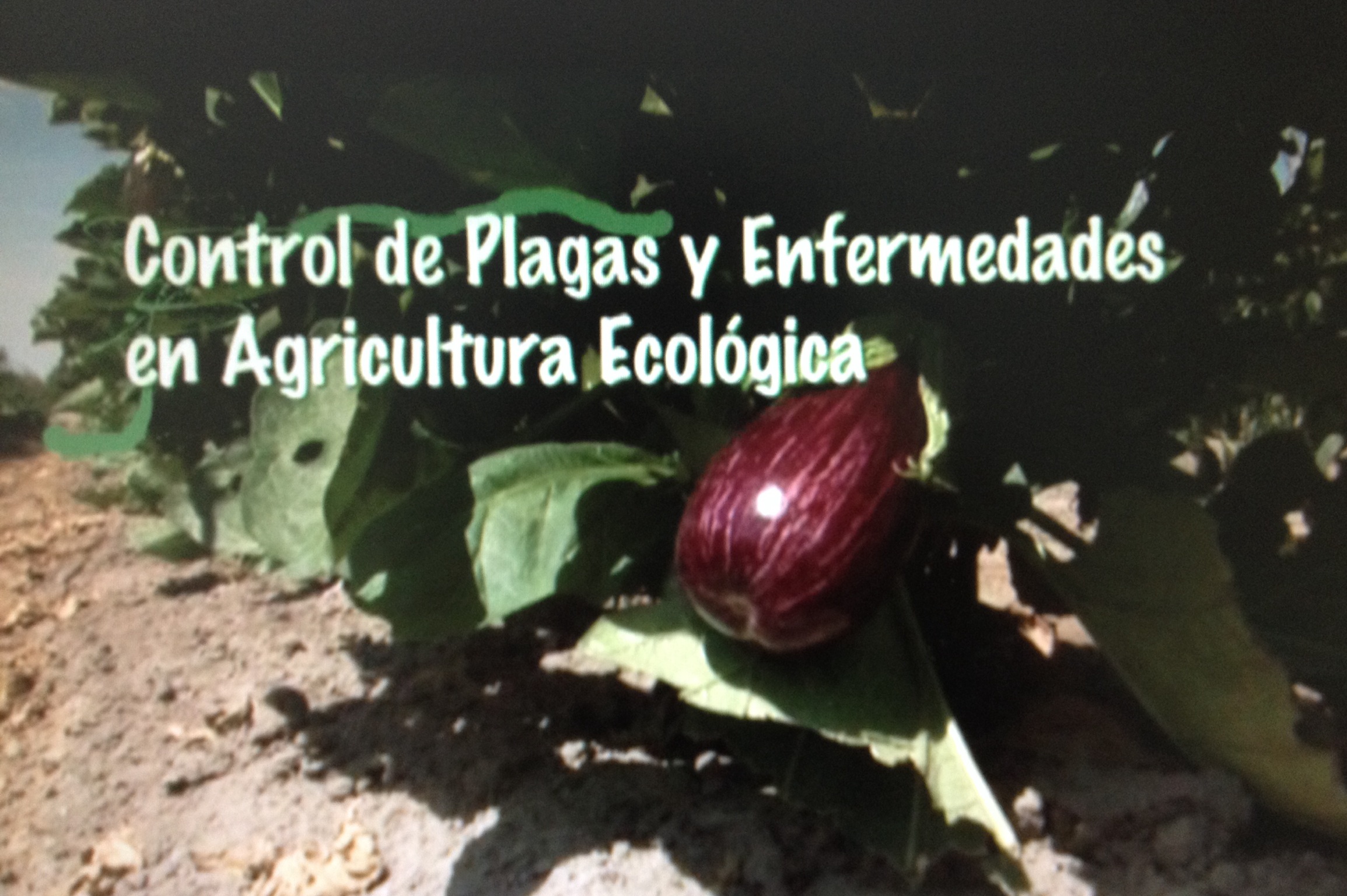 Manejo de la Sanidad Vegetal en la Producción Ecológica