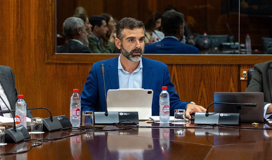 Fernández-Pacheco, durante la Comisión de Presupuestos 2024 de la Consejería de Sostenibilidad, Medio Ambiente y Economía Azul en el Parlamento de Andalucía. 
