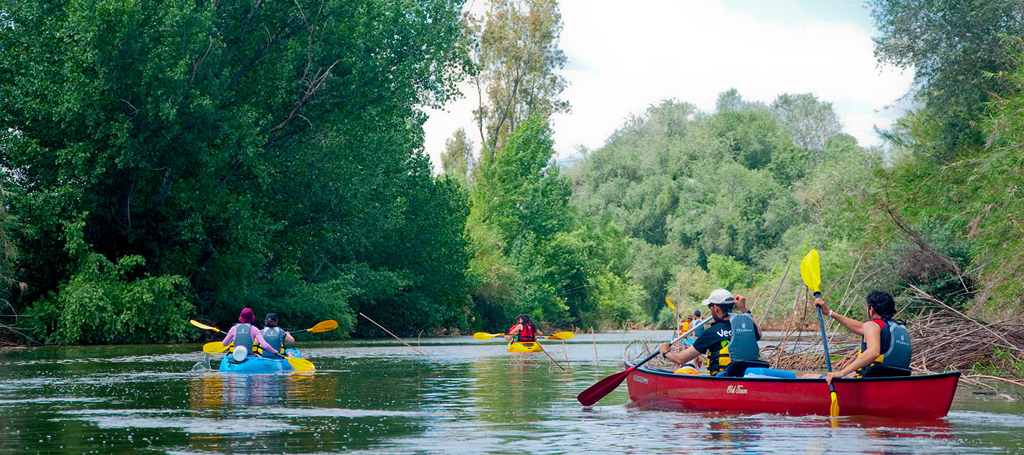 Vrias grupos de personas navegan un río en canoa 