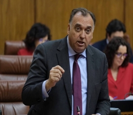 El consejo Arturo Bernal interviniendo en el Parlamento andaluz