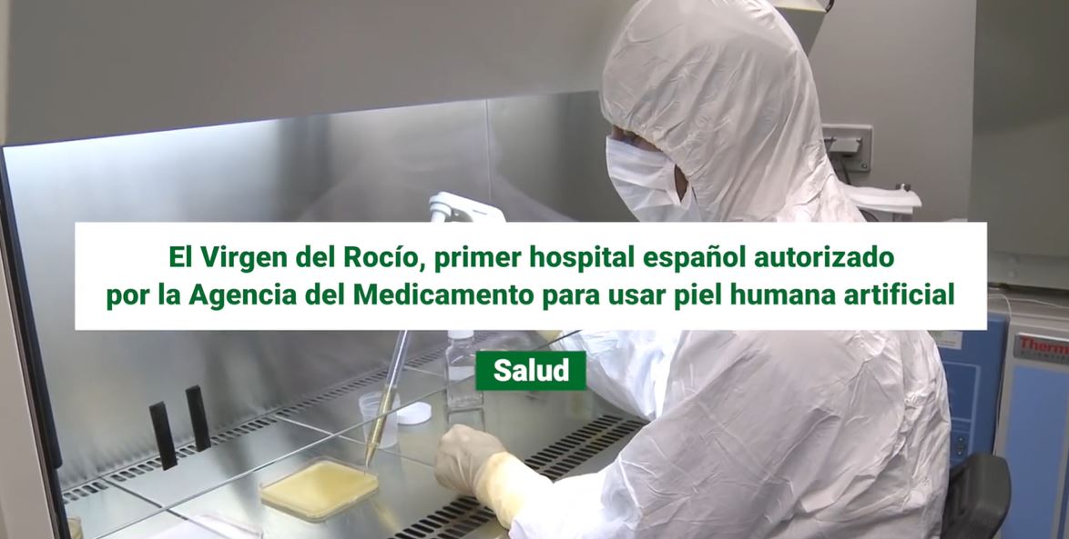 El Virgen del Rocío, primer hospital autorizado por la AEMPS...